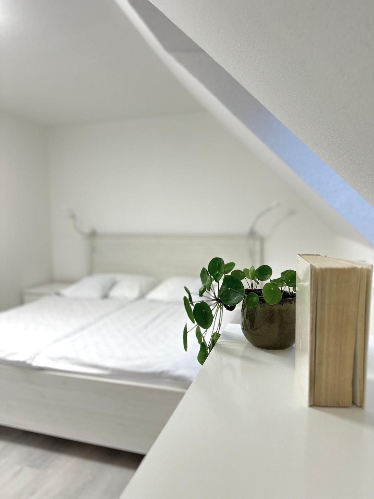 Apartment Nela เปาชินา เลโฮตา ภายนอก รูปภาพ
